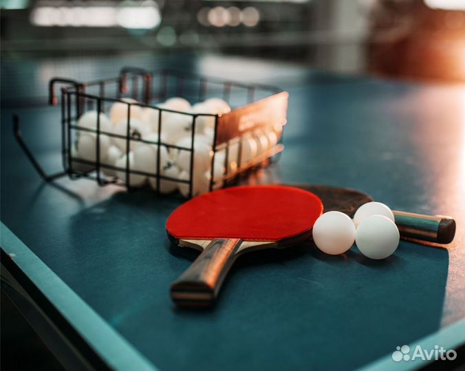 Тренер по настольному теннису, спарринг партнер