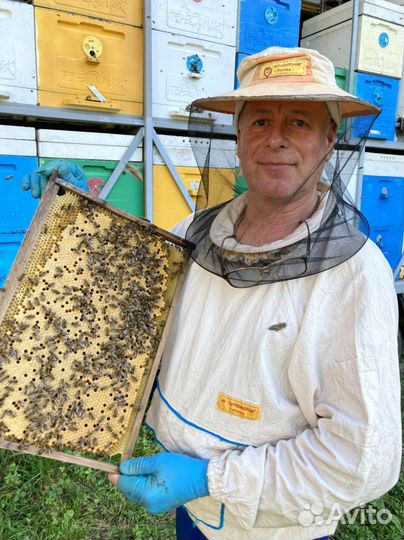 Мёд липа горная