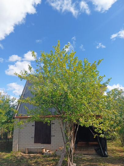 Участок 6 сот. (СНТ, ДНП)