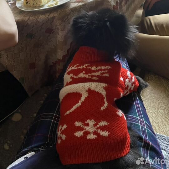 Одежда для маленьких собак (XS-S)