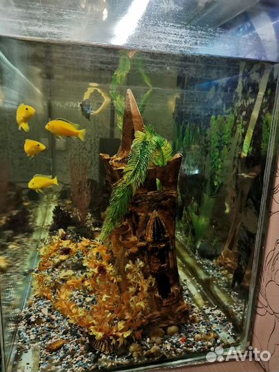 Продам аквариум