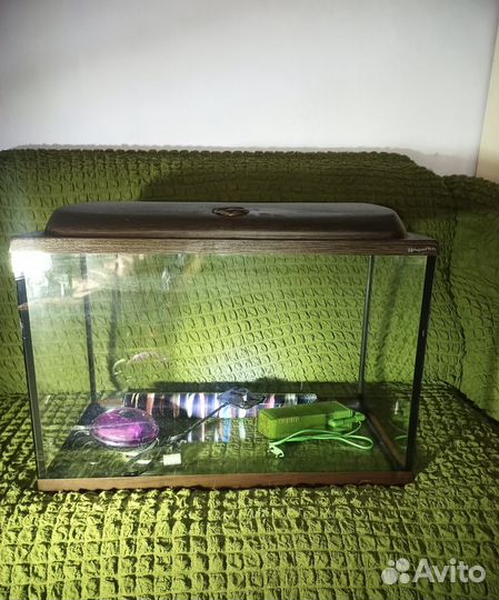 Аквариум