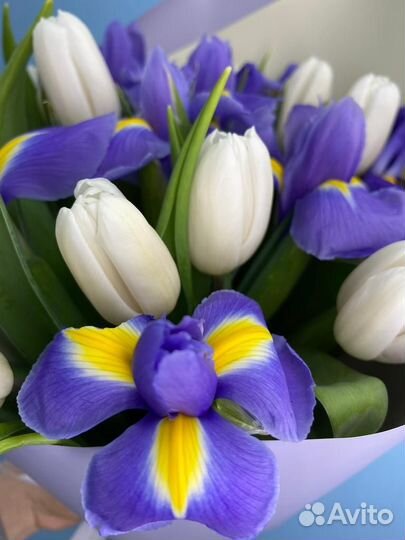 Букет из 11 синих ирисов и 10 белых тюльпанов, цве