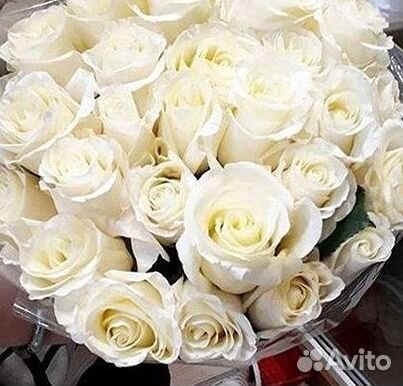 Длинные высокие розы 110 150 160 180 200 см