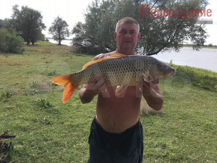 Участок 2,7 га (СНТ, ДНП)