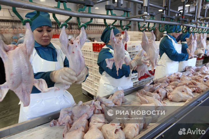 Сортировщица на линию - вахта в Пензе