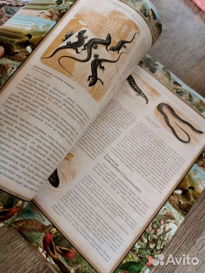 А. Брем Жизнь животных