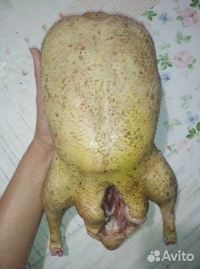 Мясо гуся, утки