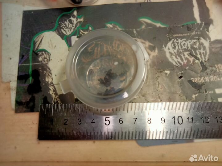 Кормовые тараканы Pycnoscelus nigra