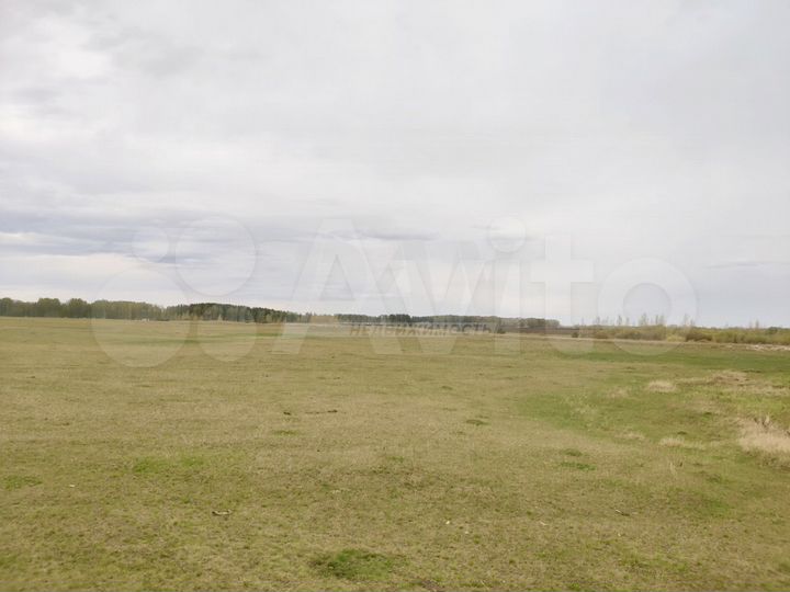 Участок 33 га (ИЖС)