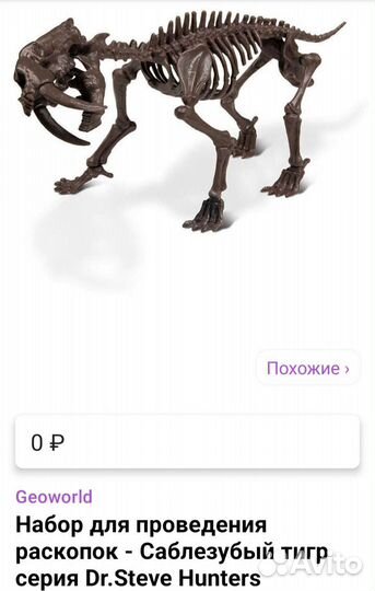 Скелет саблезубого тигра