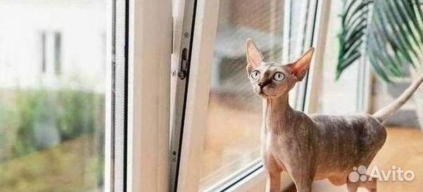 Балкон пластиковый