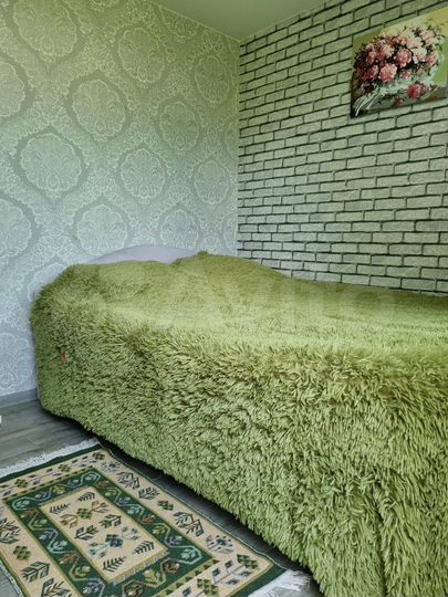 Комната 15 м², 1/1 эт.