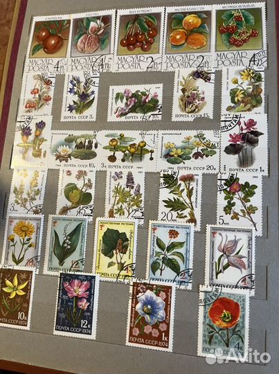 Почтовые марки СССР