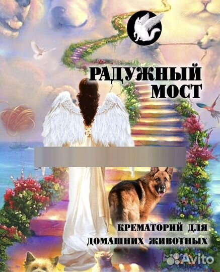 Кремация домашних животных