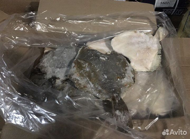 Морская рыба свежемороженая,ассортимент в описание