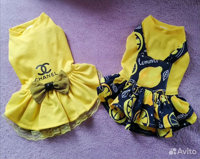 Одежда для собак