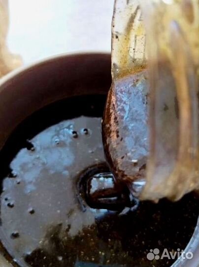 Трибулус для мужчин