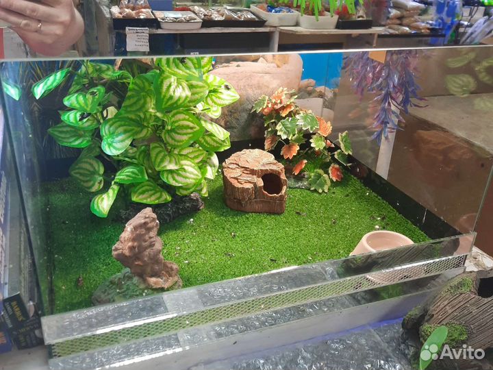 Террариумы для рептилий