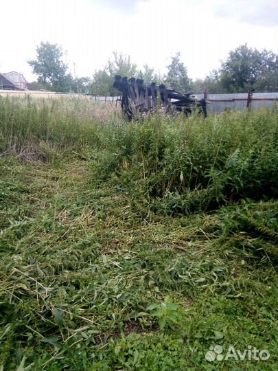 Благоустройство сада