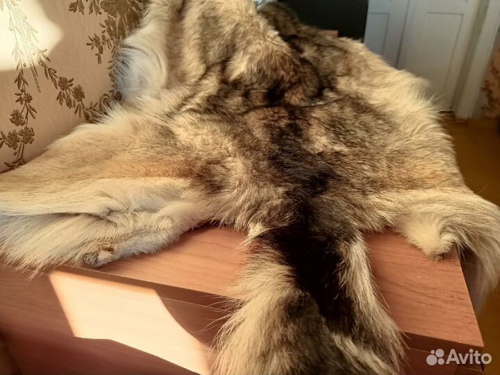 Шкура волка