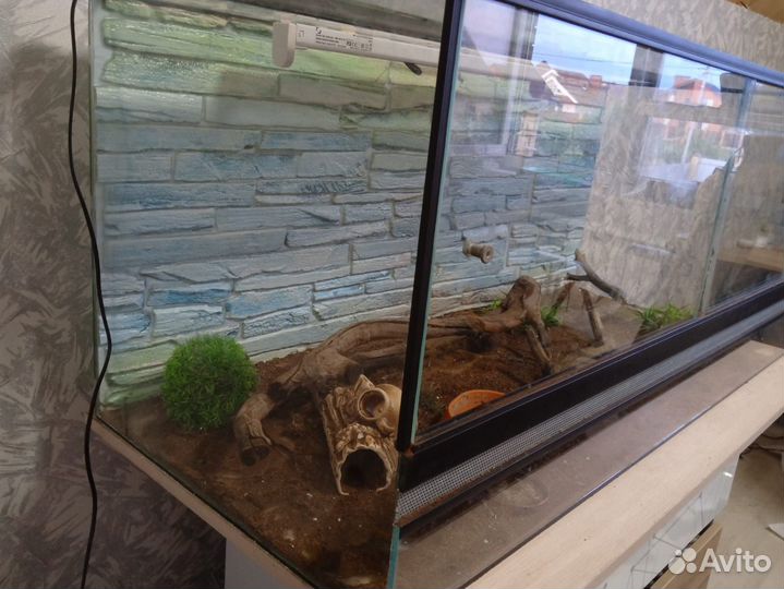 Террариум большой