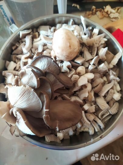 Домашние пельмени и вареники