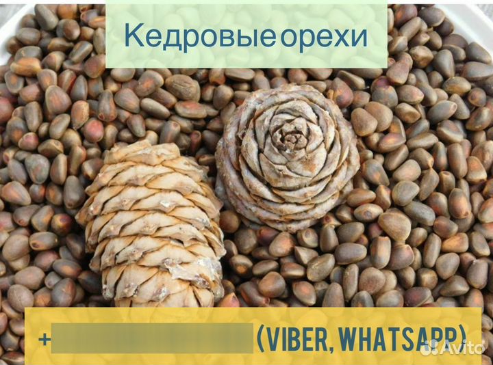 Брусника клюква