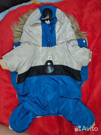 Одежда для собак