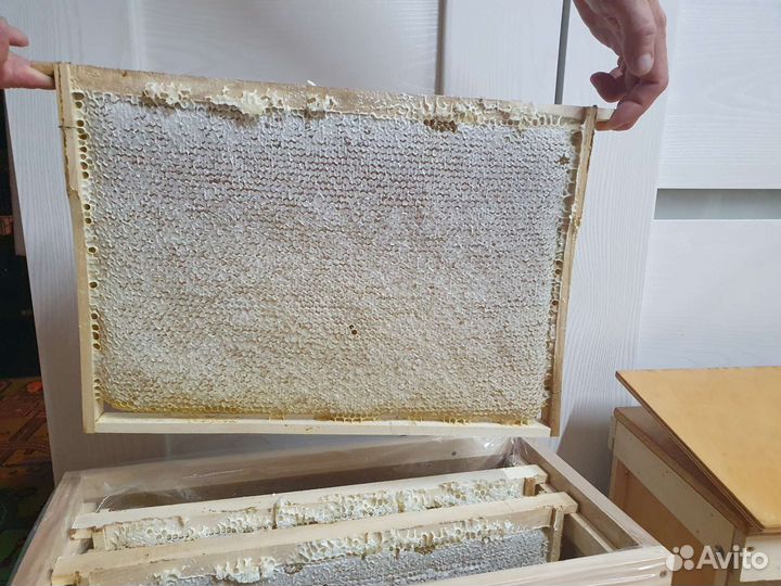 Сотовый мед июльский в рамке