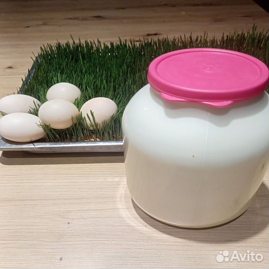 Козье молоко