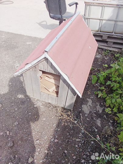 Собачья будка