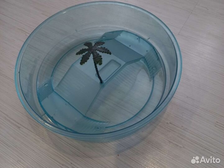 Террариум для черепахи