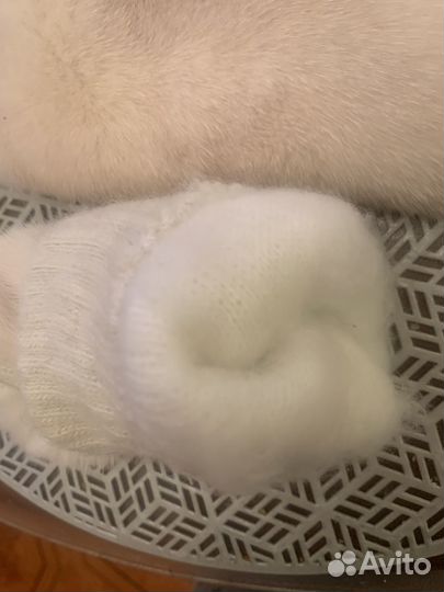 Варежки с норкой