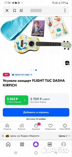 Укулеле flight концерт
