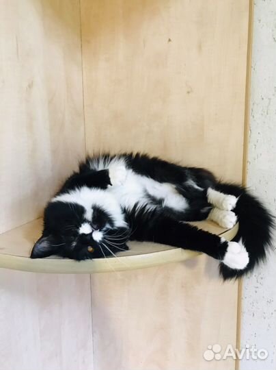 Боня 8 месяцев