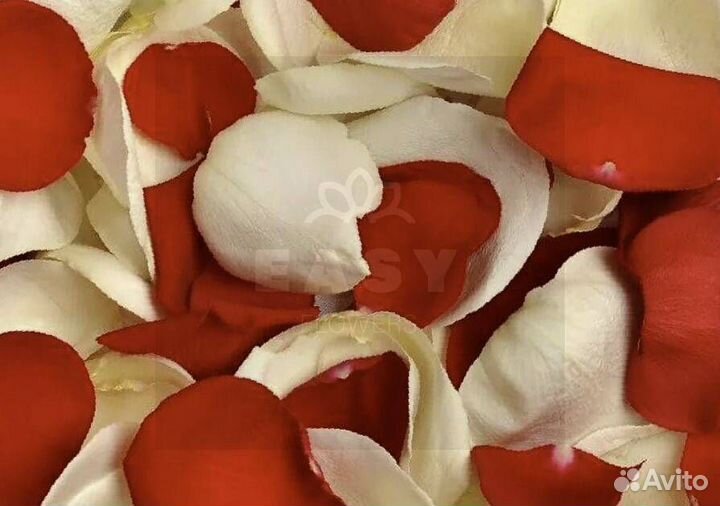 Лепестки роз