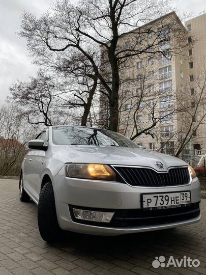 Прокат аренда Шкода Рапид Skoda Rapid