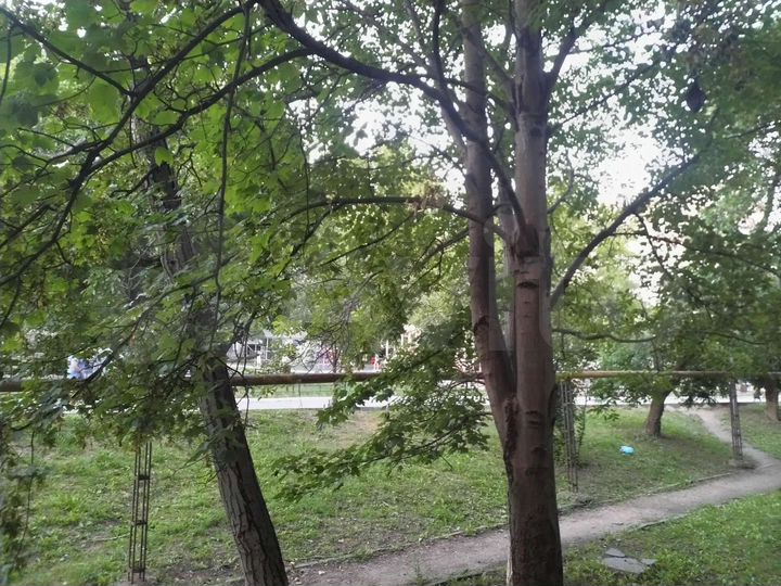 3-к. квартира, 65,3 м², 1/5 эт.