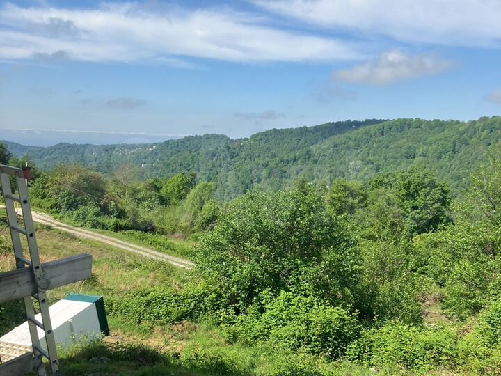 Участок 35 сот. (СНТ, ДНП)