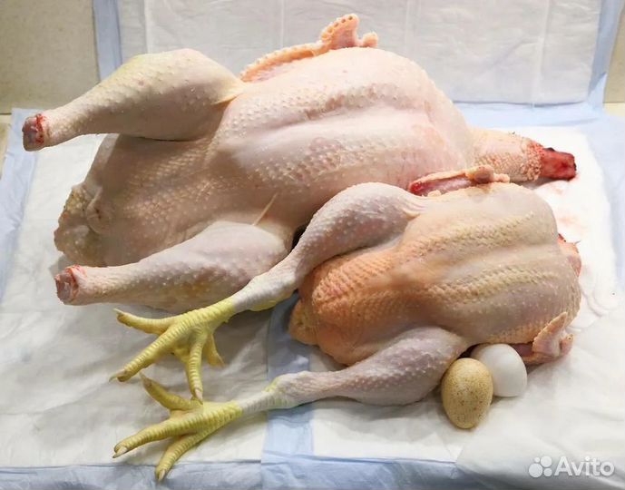 Мясо индейки (домашнее)