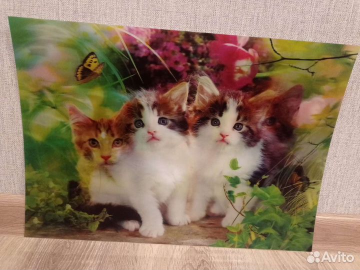 Картина 3d размер 49*34