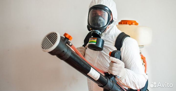 Уничтожение тараканов. Дезинфекция клопов, муравье