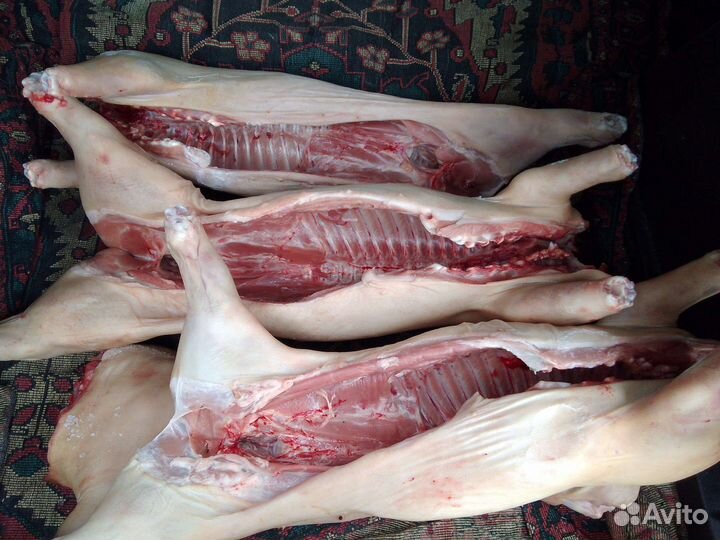 Молочные поросята