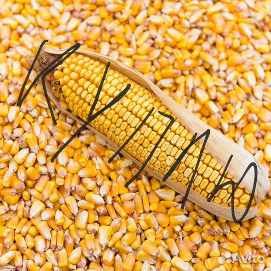 Семечка кукуруза