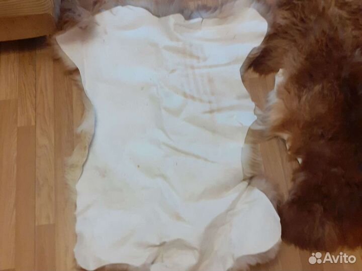 Шкурка животного