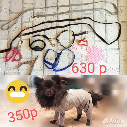 Шлейка,поводок,когтерезка комбинезон для собак