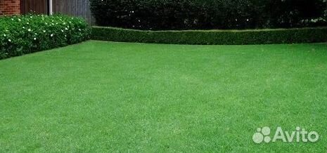 Гидропосев