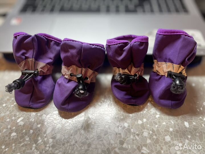 Ботиночки для мелких пород размер 6