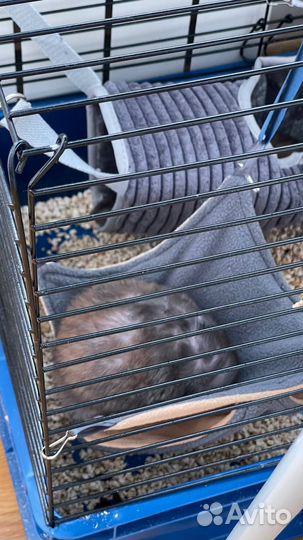 Клетка для грызунов большая бу